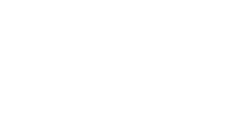 logo de Solorzano Linaldi
